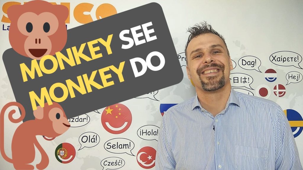 Angielskie idiomy - monkey see monkey do